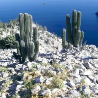 Going to Extremes (Episode 1)