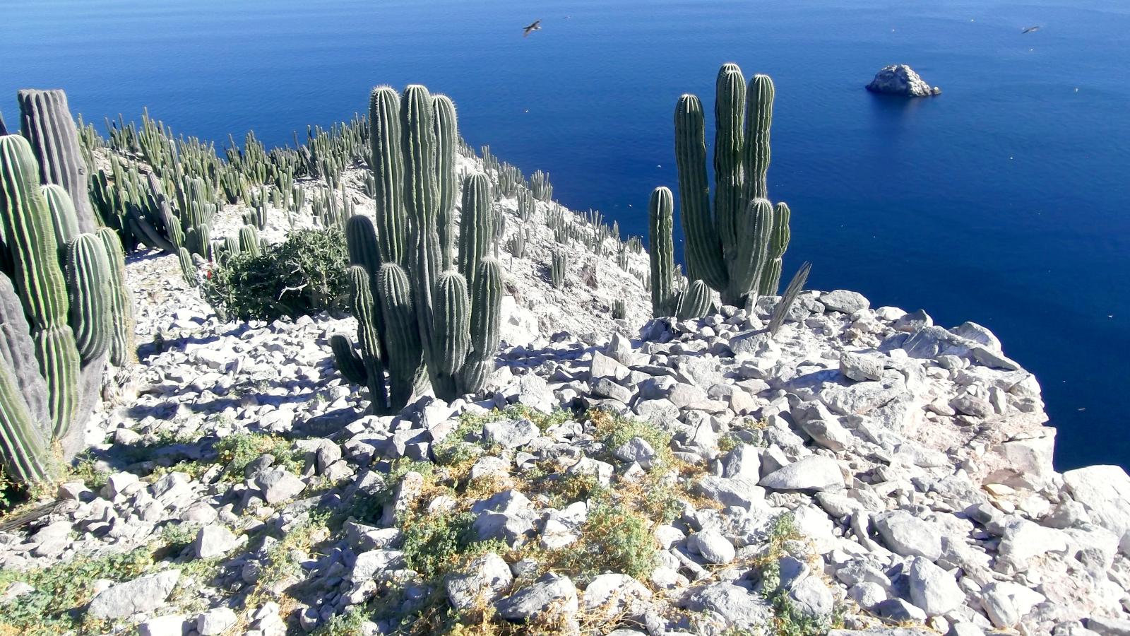 Going to Extremes (Episode 1)